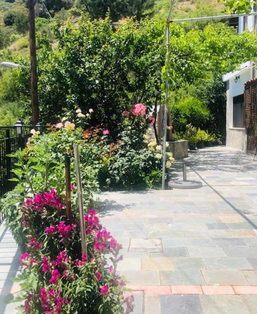 Moutoullas Galaria Houseヴィラ エクステリア 写真